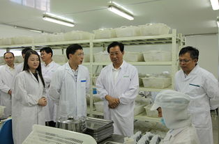 省領導關注民生推動產業升級 王輝忠副書記深入浙茶集團調研產業發展及服務效農實踐