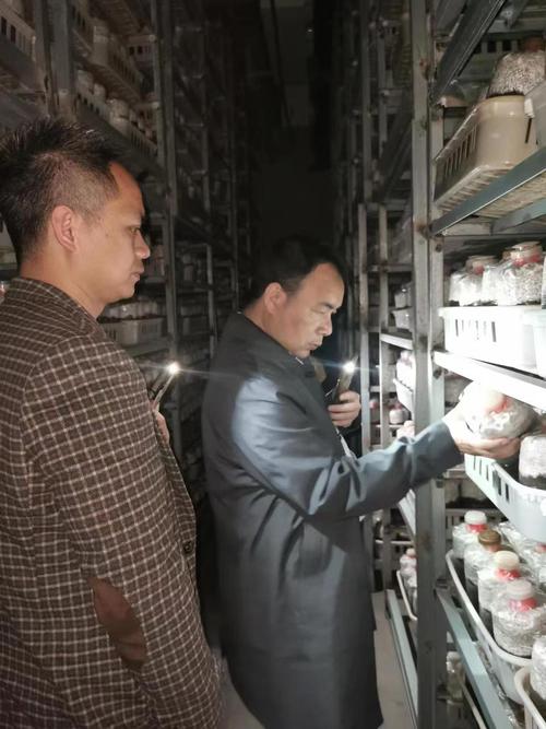 科技賦能產業，精準服務助振興——食用菌所科技服務團隊赴漳州開展秀珍菇工廠化栽培技術指導與開發